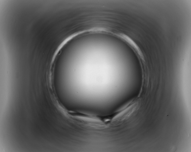X0000084001340200703091858