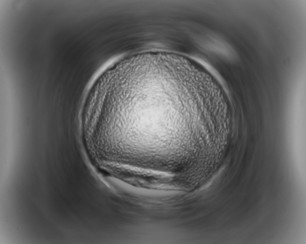 X0000084001341200703091858
