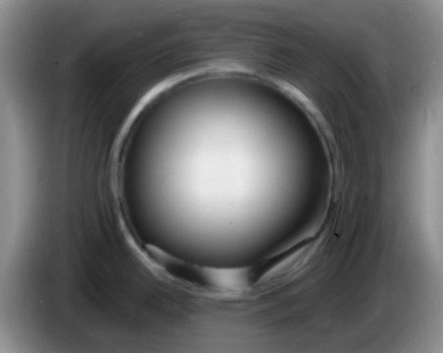 X0000084001342200703091858