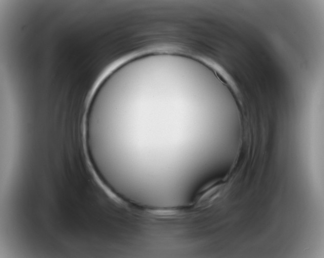 X0000084001343200703091858
