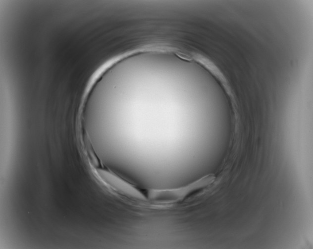 X0000084001344200703091858