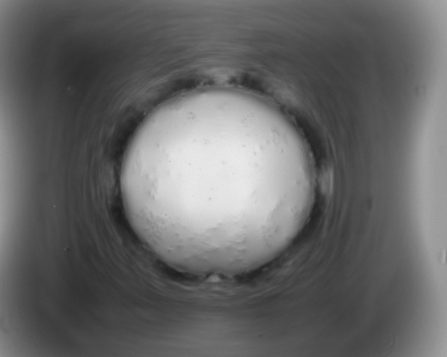 X0000084001347200703091857