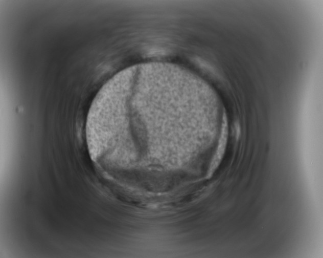 X0000084001348200703091857