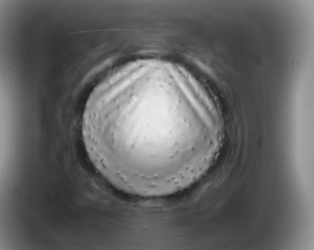 X0000084001351200703091857