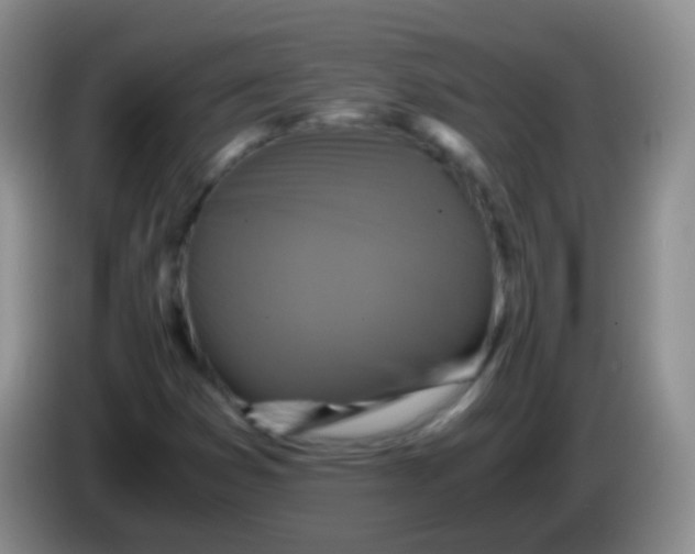 X0000084001353200703091857