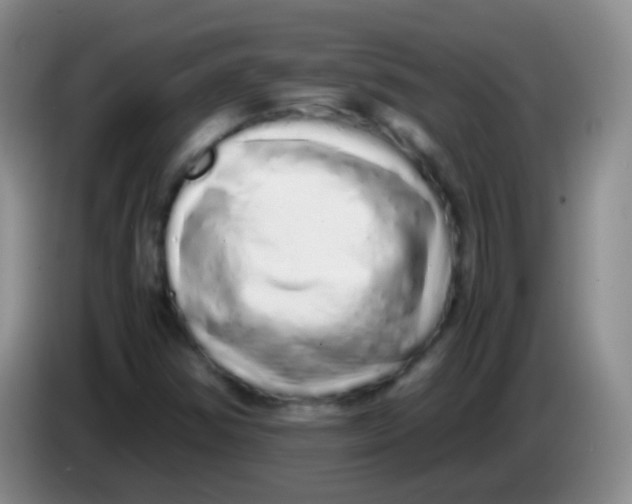 X0000084001354200703091857