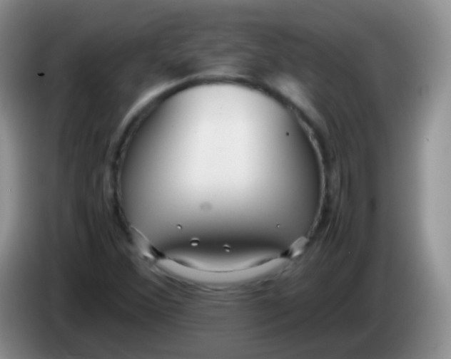 X0000084001356200703091857