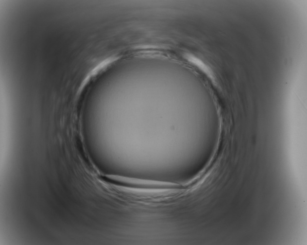 X0000084001357200703091857