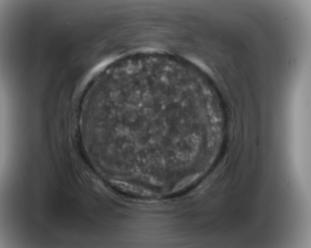 X0000084001359200703091857