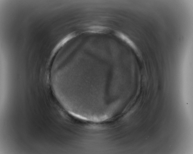 X0000084001362200703091857