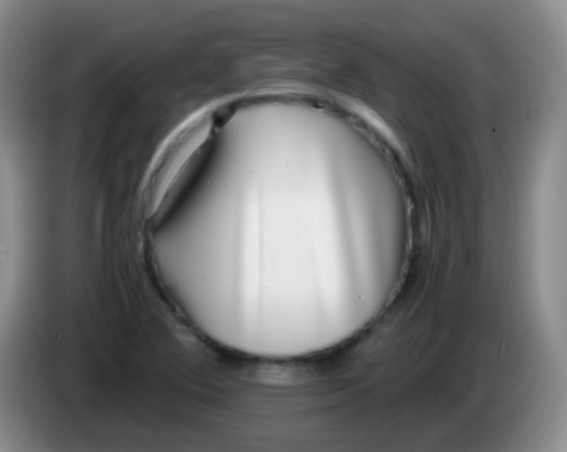 X0000084001364200703091857
