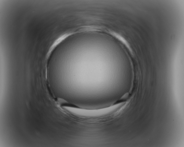 X0000084001365200703091857