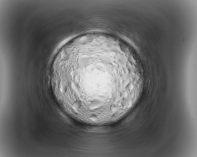 X0000084001367200703091857
