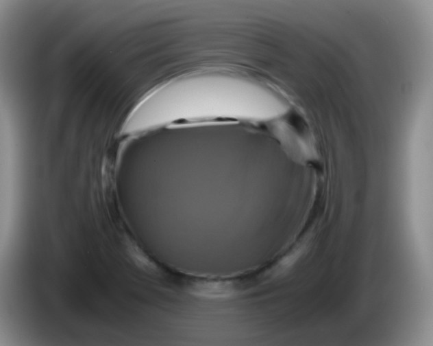 X0000084001369200703091857