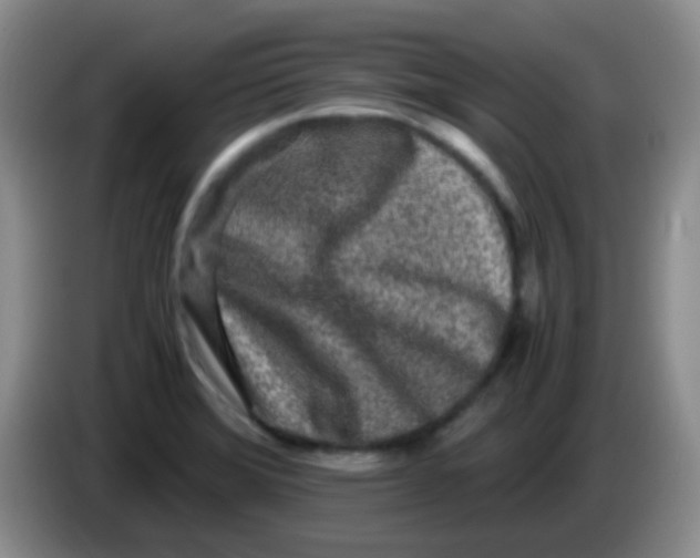 X0000084001372200703091857