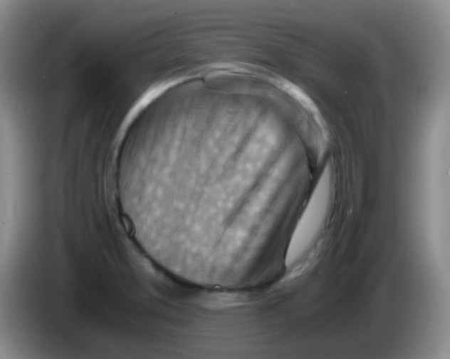 X0000084001373200703091857