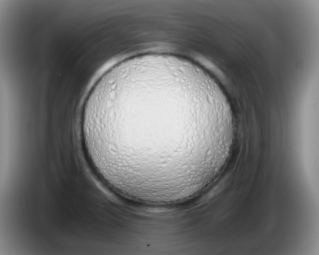 X0000084001375200703091857