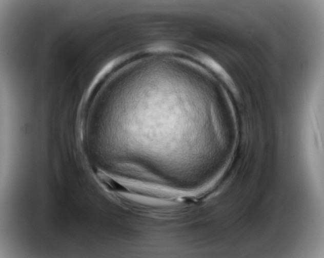 X0000084001376200703091857