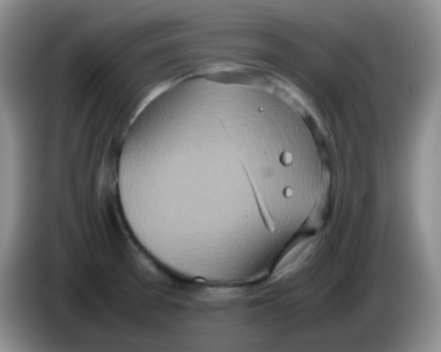 X0000084001377200703091857