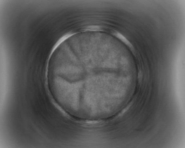 X0000084001378200703091857
