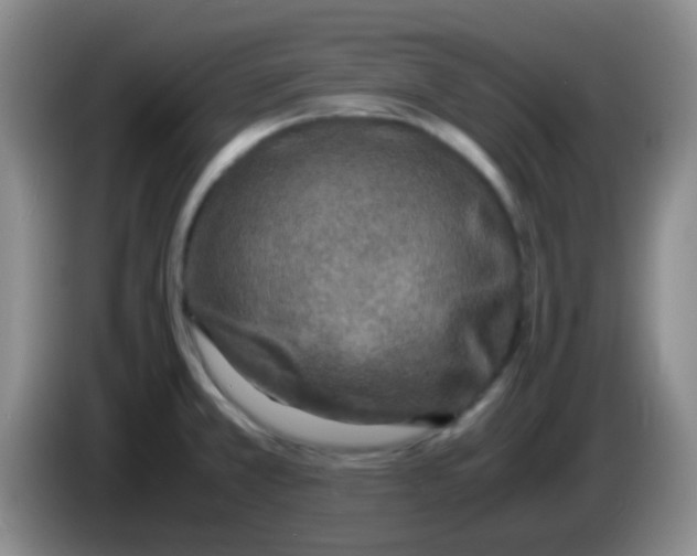 X0000084001381200703091857