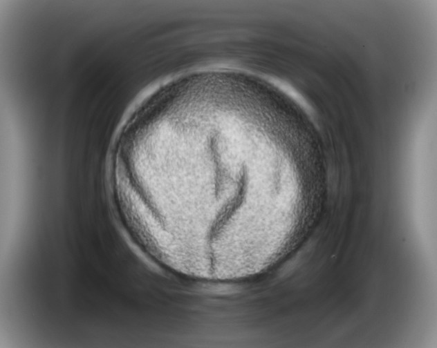 X0000084001382200703091857