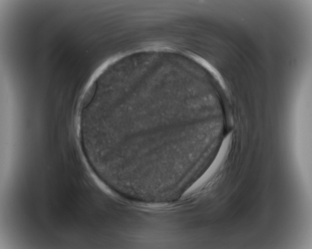 X0000084001383200703091857