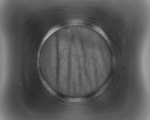 X0000084001386200703091857