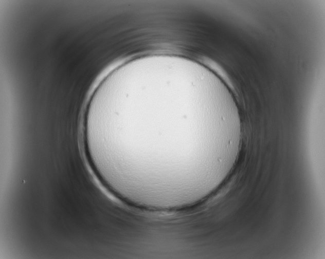 X0000084001387200703091857