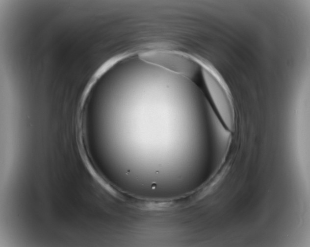 X0000084001389200703091857