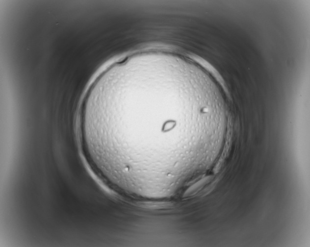 X0000084001391200703091857