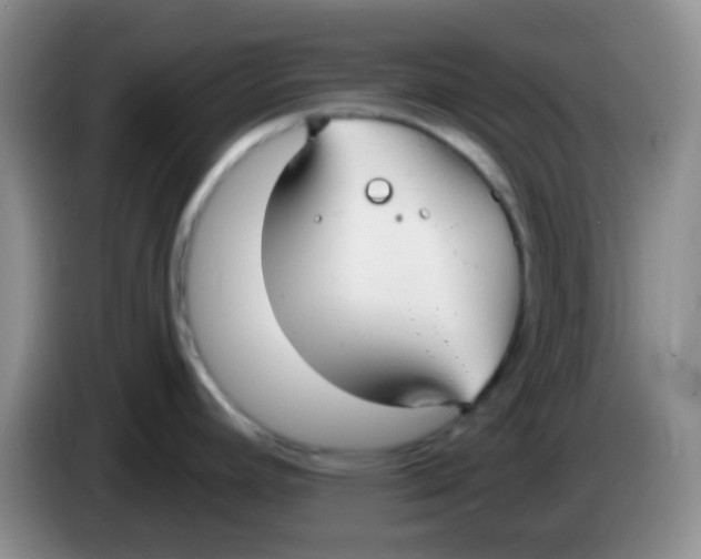 X0000084001392200703091857