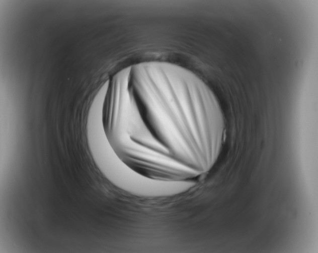 X0000084001394200703091856