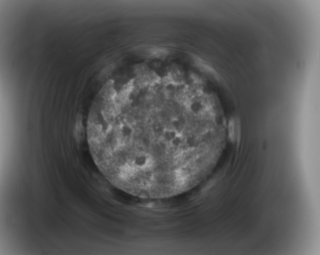 X0000084001395200703091856