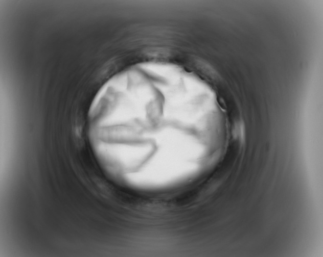 X0000084001396200703091856
