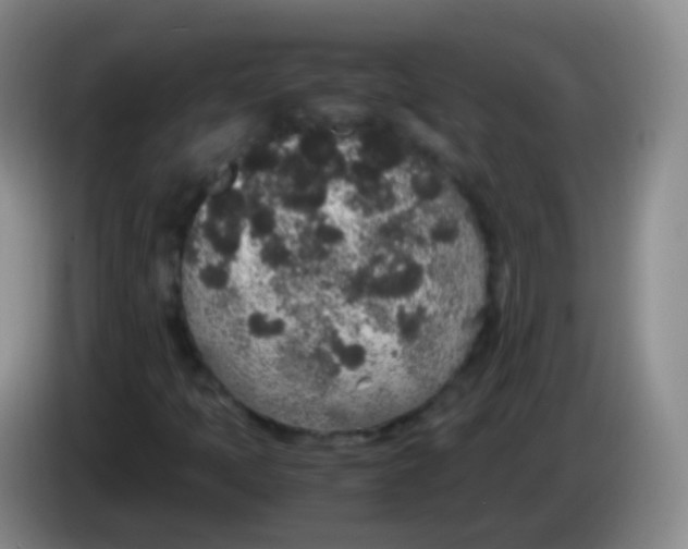 X0000084001397200703091856