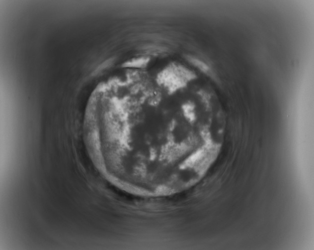 X0000084001399200703091856