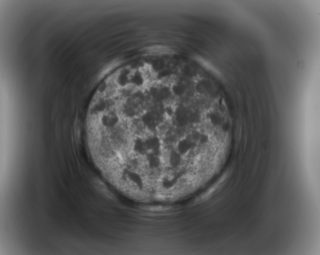 X0000084001401200703091856