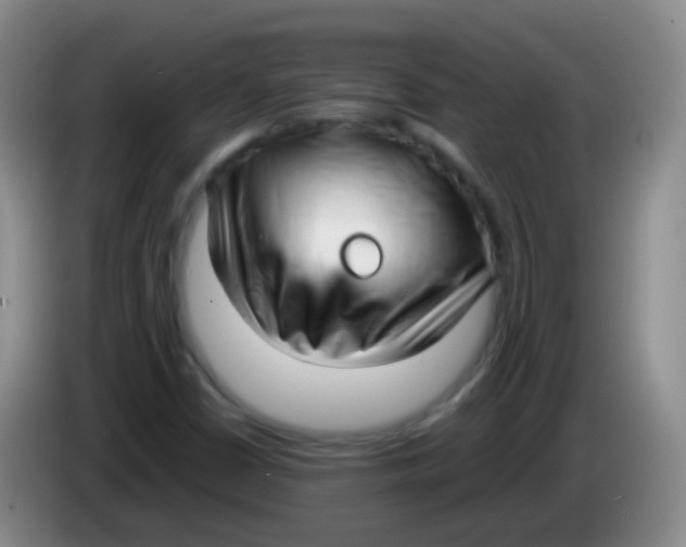 X0000084001402200703091856