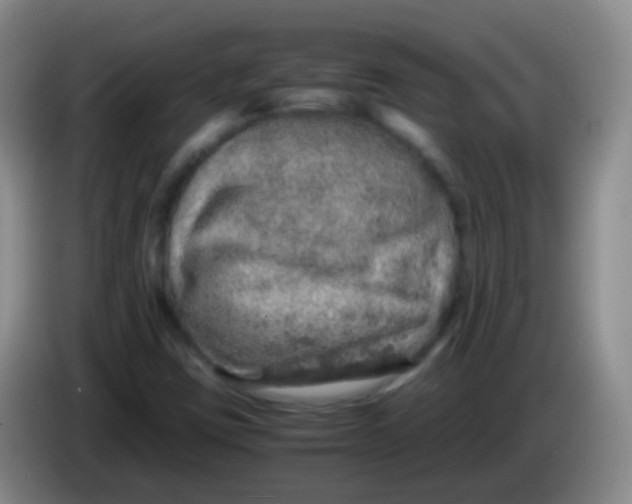 X0000084001403200703091856