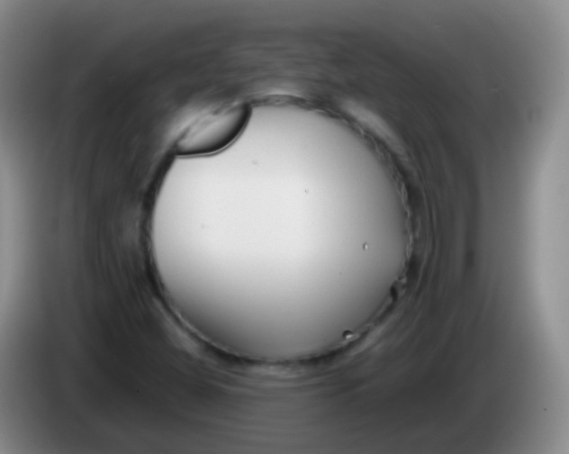 X0000084001404200703091856