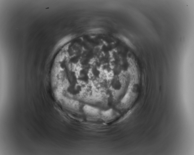 X0000084001405200703091856