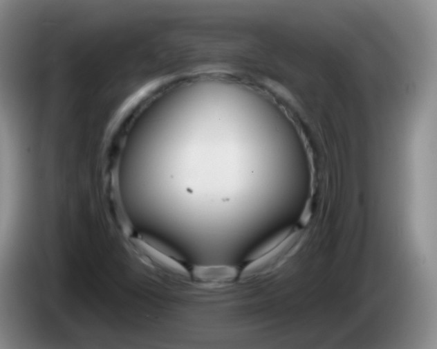 X0000084001406200703091856