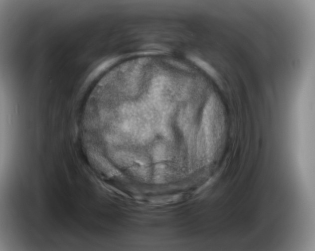 X0000084001407200703091856