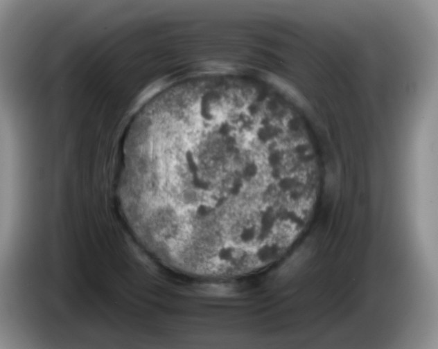 X0000084001409200703091856