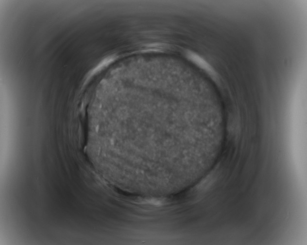 X0000084001411200703091856
