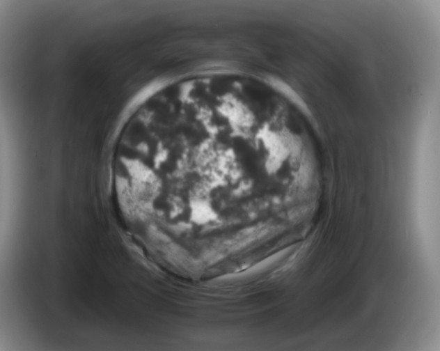 X0000084001413200703091856