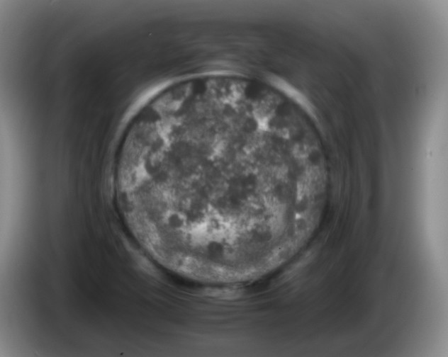 X0000084001415200703091856
