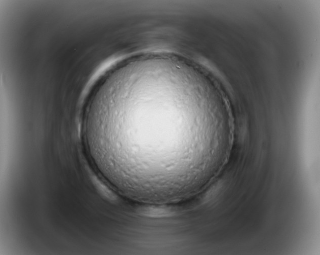 X0000084001416200703091856