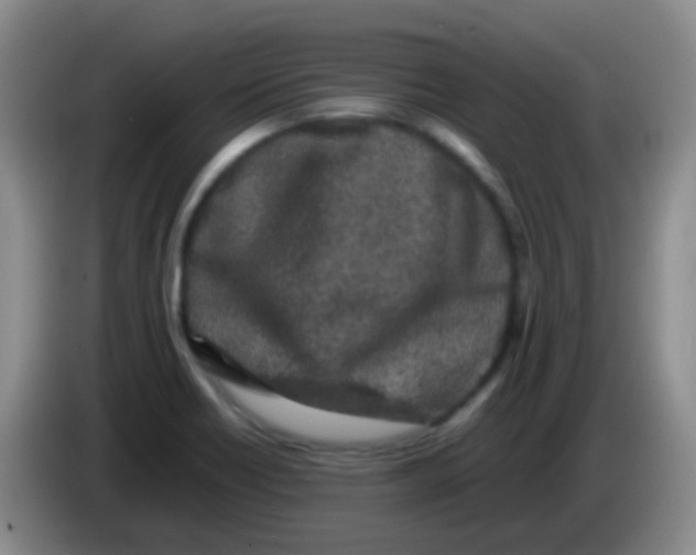 X0000084001418200703091856